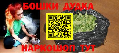 мдпв Бийск