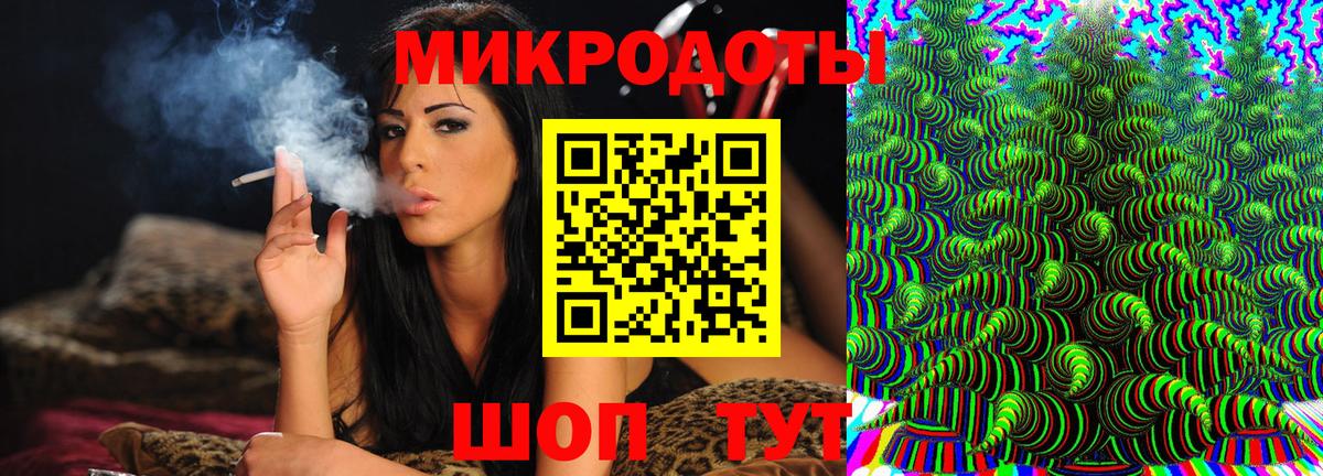 Псилоцибиновые грибы Cubensis Кизилюрт